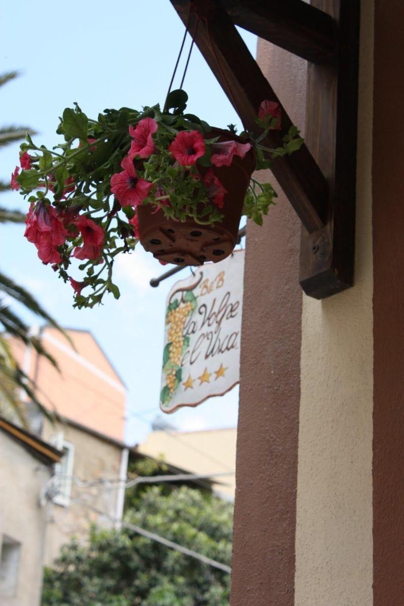 La Volpe E L'Uva B&B Piazza Armerina Esterno foto
